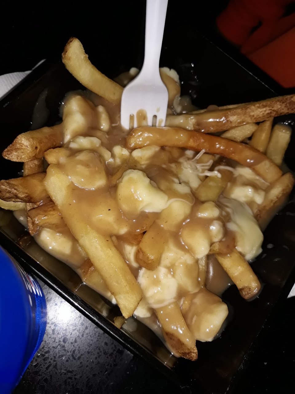 Poutine Fries